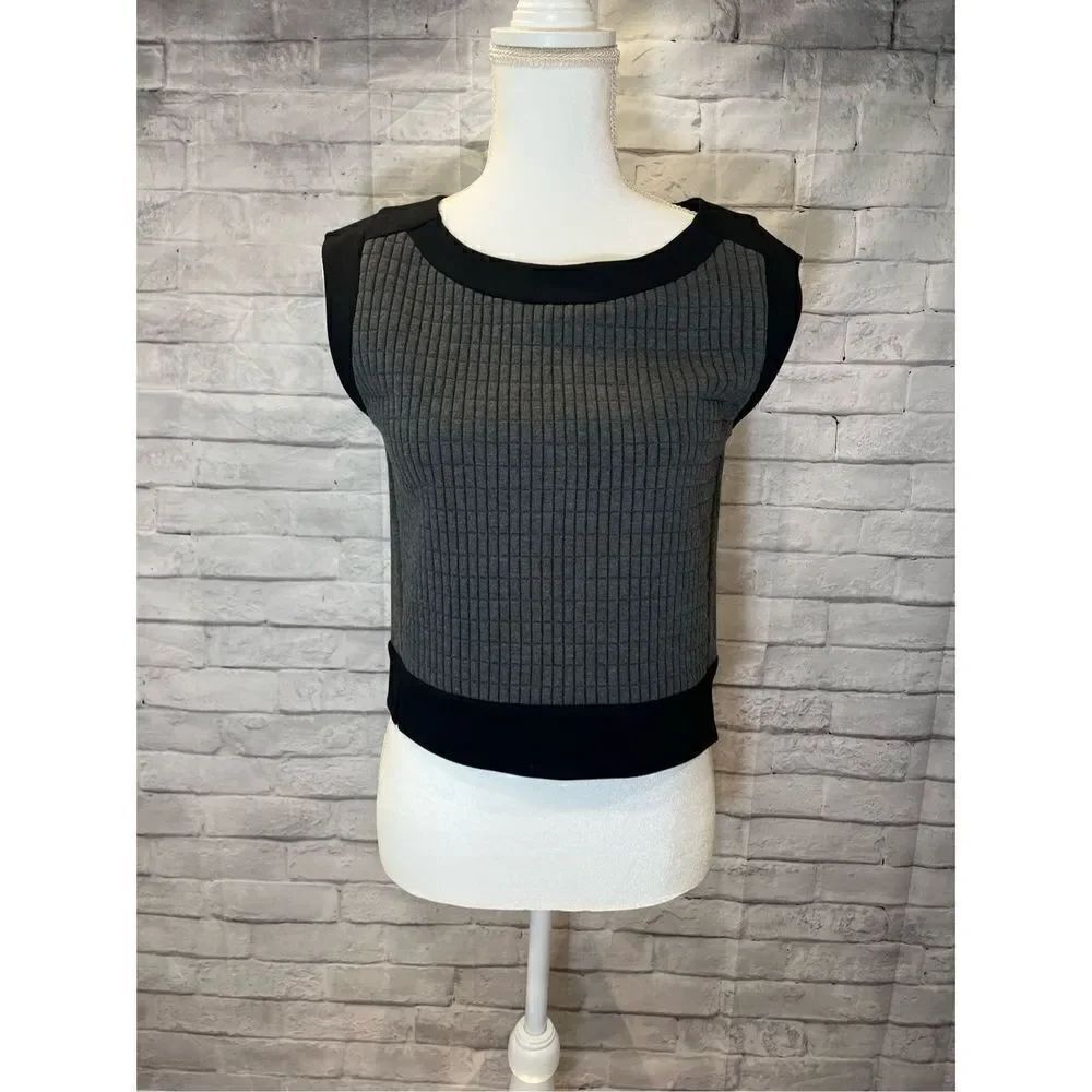 Banana Republic Gray & Black Box Crop Top
